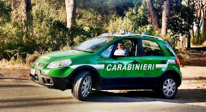 Pensionato bracconiere di Fiumicino tenta di investire carabinieri nella Riserva Statale