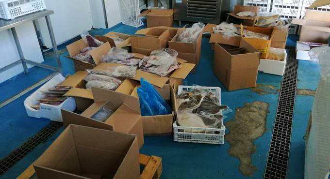 Pesce scaduto sui banchi di Ostia e Acilia, maxi sequestro della Capitaneria di Porto