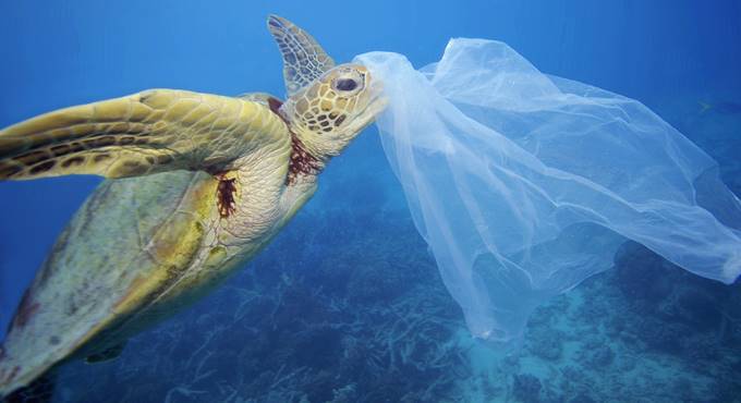 #plasticfreegc, Guardia Costiera e Ministero uniti per proteggere il mare dalla plastica