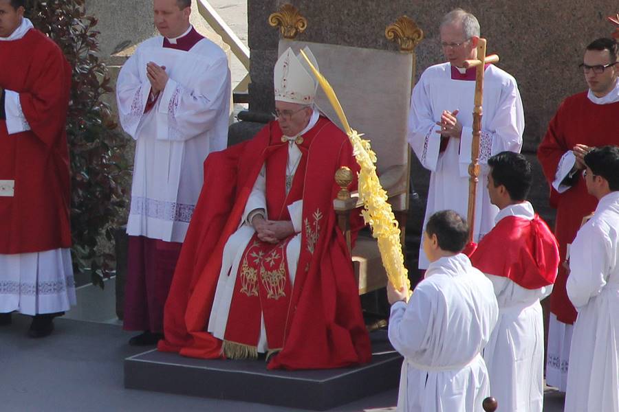 Vaticano, Messa della Domenica delle Palme