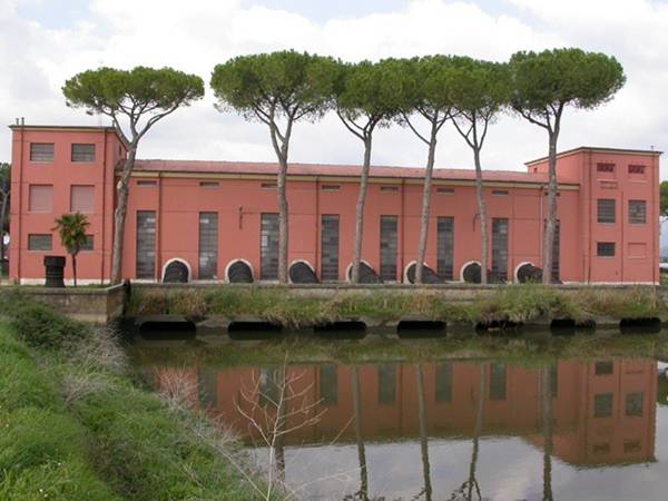 Alberi pericolanti vicino agli impianti idrovori di Mazzocchio e Borgo Hermada, interviene il Consorzio di Bonifica
