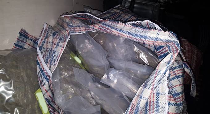 Sequestrati al porto di Civitavecchia 54 chili di marijuana provenienti dalla Spagna