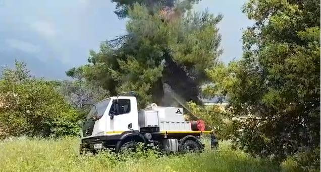 Incendio all’ex Onc di Sabaudia, è per via di un albero fulminato