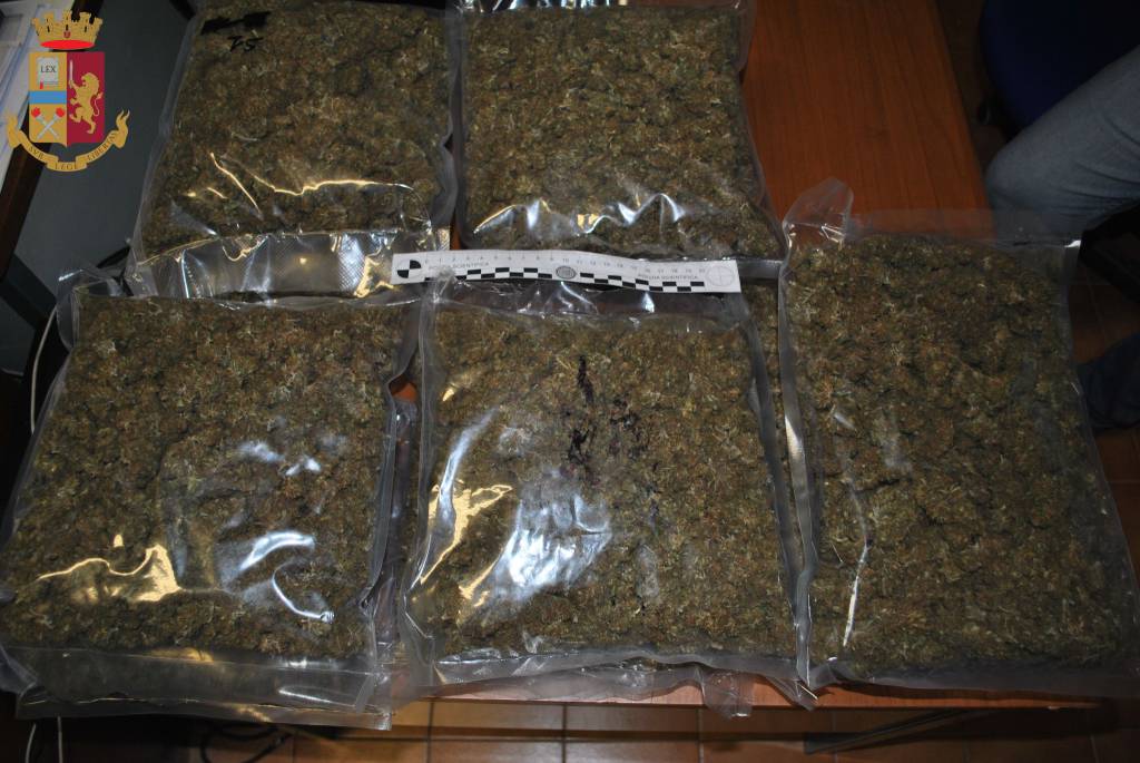 12 chili di marijuana in casa: in manette spacciatore a Cerveteri