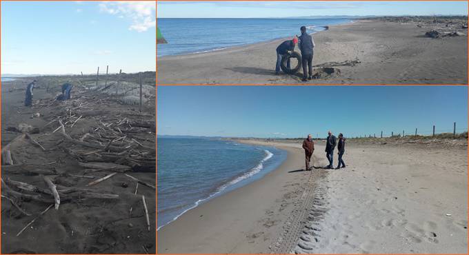 Fiumicino, pulizia straordinaria nella spiaggia di Coccia di Morto