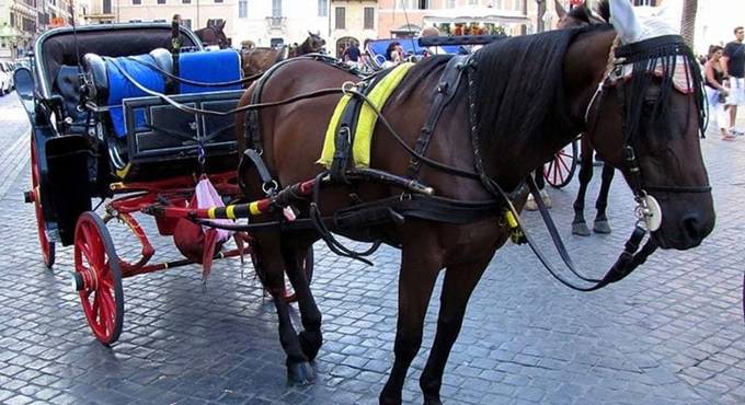 Roma prigioniera del caldo: Gualtieri blocca le botticelle per proteggere i cavalli
