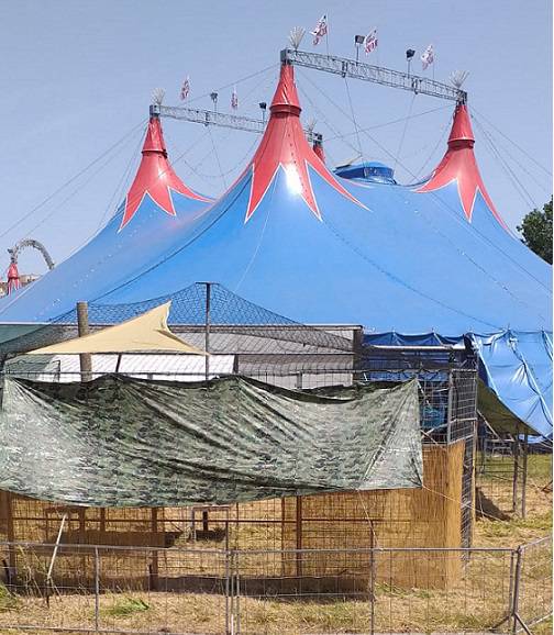 Ostia, animali in gabbia: animalisti contro il Circo Royal