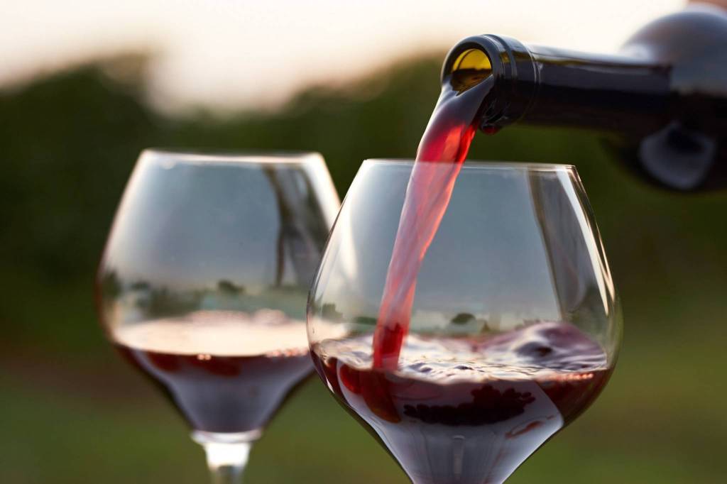 Cantine d’Italia 2021, Casale del Giglio e Mottura ottengono l’Impronta Go Wine