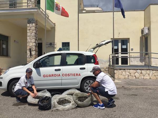A Formia ancora un blitz della Guardia costiera: 160 i chili di cozze sotto sequestro