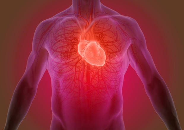 Giornata mondiale del cuore 2021: il 29 settembre per la prevenzione delle malattie cardio-cerebro vascolari