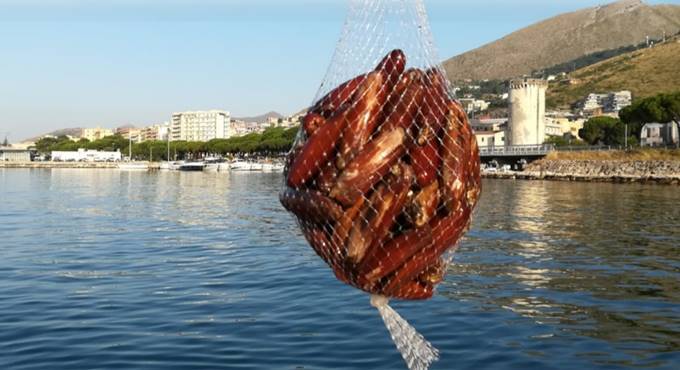 Pesca di frodo, a Formia sequestrati 50 chili di datteri di mare