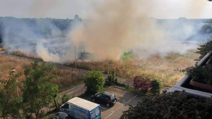 Dragoncello, incendio minaccia la pineta e il fumo invade le case