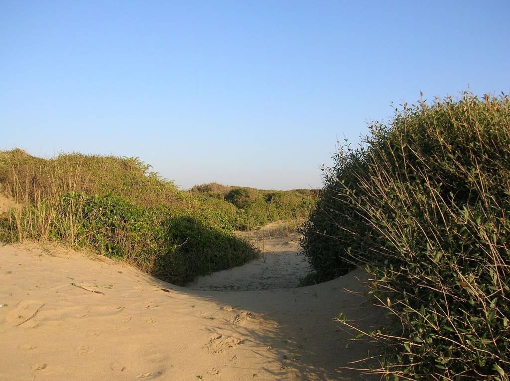 Per Virail le dune di Capocotta sono tra le più belle in Europa