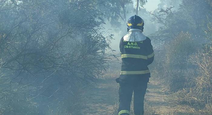 Civitavecchia, firmata l’ordinanza anti-incendi boschivi: tutti i divieti