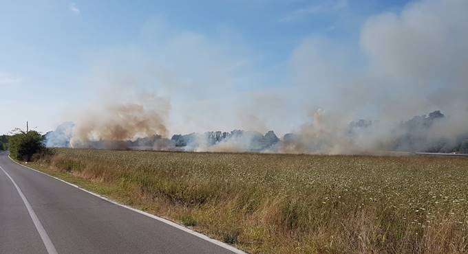 Fiumicino, in fiamme tre ettari di sterpaglie in via del Casale Barbabianca