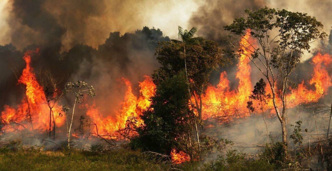 Amazzonia, Cristiano Ronaldo e Alessandro Del Piero: “Salviamo il polmone del pianeta”