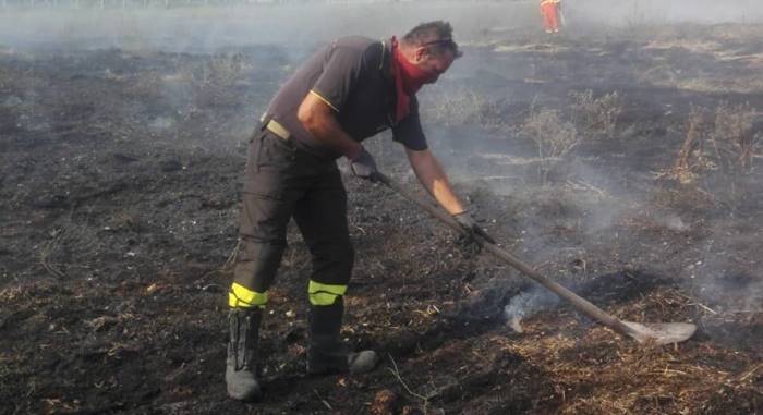 Incendio a Civitavecchia, in fiamme 5 ettari di macchia mediterranea