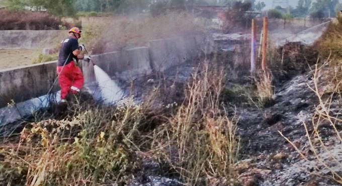 Via Bassianese a Latina: il fuoco lambisce le case, una fabbrica di vernici e il canile