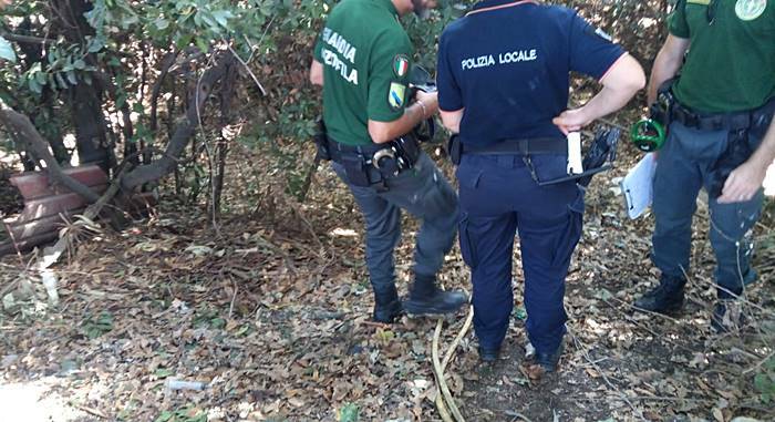 Cerveteri, scoperto canile abusivo: blitz di Polizia Locale e Guardie Ecozoofile