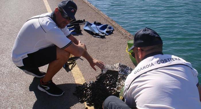 Guardia Costiera, filiera della pesca ai raggi X: multe e sequestri nel Lazio