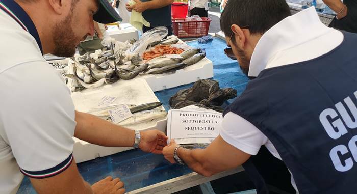 Guardia Costiera, filiera della pesca ai raggi X: multe e sequestri nel Lazio