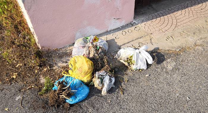 Isola Sacra, topi tra i rifiuti abbandonati in strada