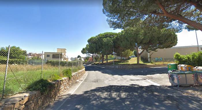 Civitavecchia, D’Ottavio: “Necessario il taglio degli alberi in via Montanucci”