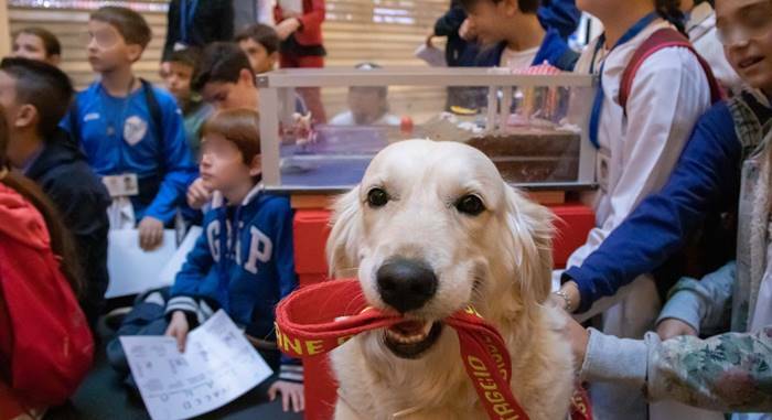 A scuola con Osso: Il cane bagnino “maestro” in classe