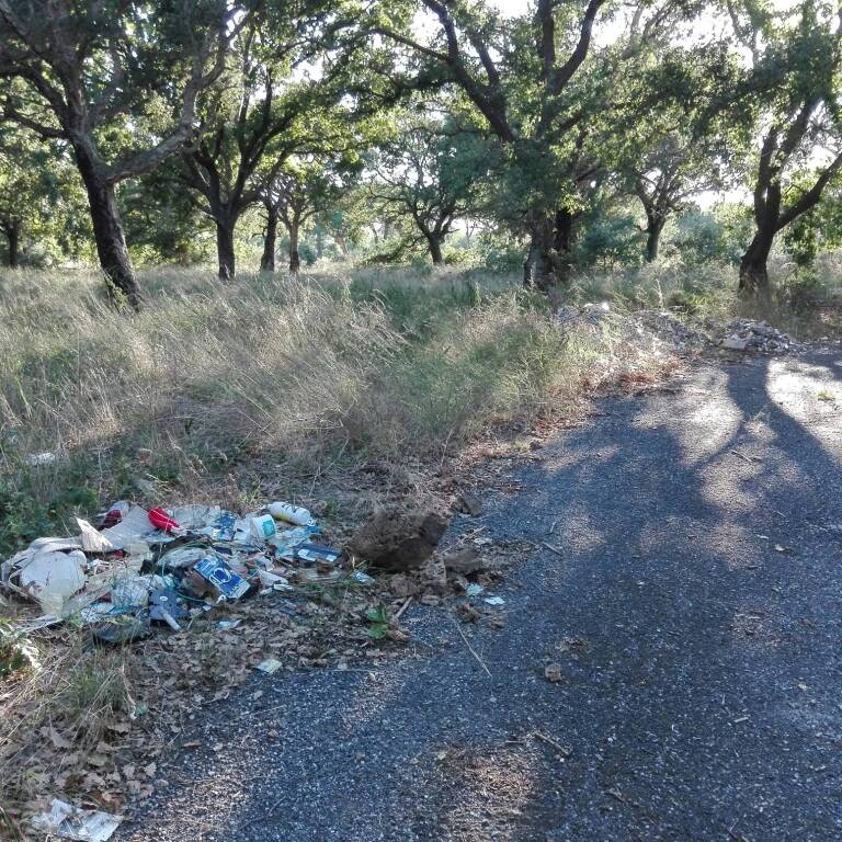 Rifiuti e discariche nel verde di Montalto Marina: l’allarme del M5s