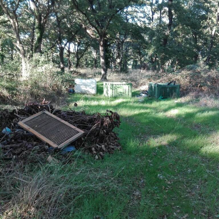 Rifiuti e discariche nel verde di Montalto Marina: l’allarme del M5s