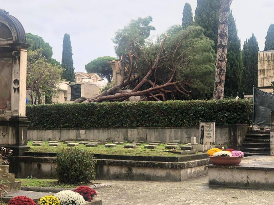 Cimitero Verano chiuso per ragioni di sicurezza: alberi e loculi a rischio crollo