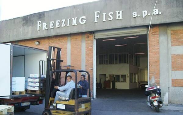 L'ex Formia freezing fish