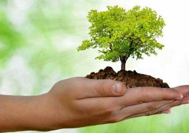 “Piantiamo un albero”, la Cisl di Latina riparte dal verde per riqualificare il quartiere di Campo Boario