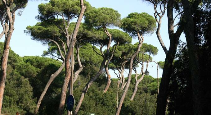 Fiumicino, partirà il 27 novembre il corso di Guida Naturalistica di Programma Natura