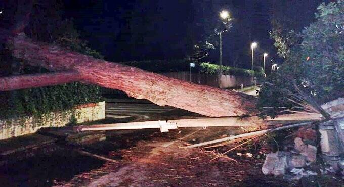 Maltempo a Fiumicino: alberi caduti, tetti scoperchiati, strade allagate, persone in difficoltà