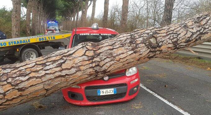 Vento maledetto, un albero si schianta sull’auto dei Vigili giurati
