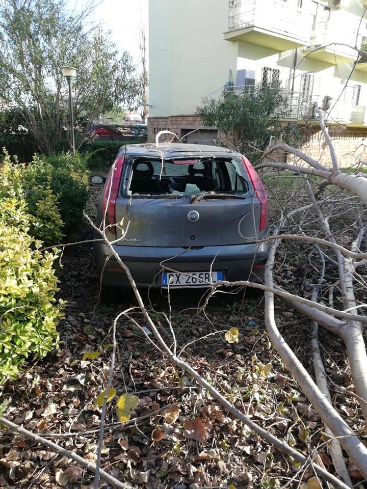 Fiumicino, al Villaggio Azzurro ramo di pioppo cade su auto parcheggiata
