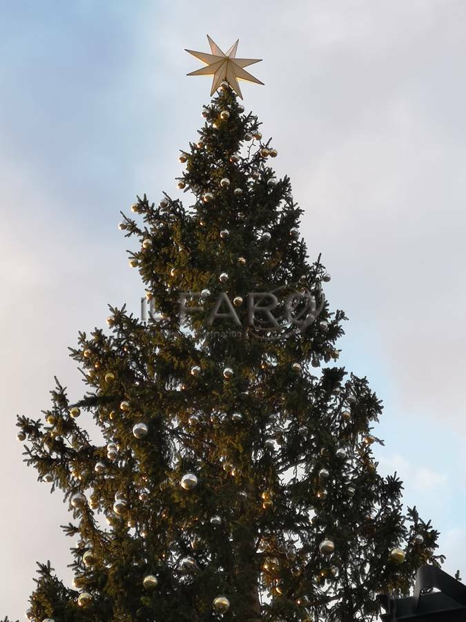 In piazza San Pietro è già Natale: accesi l'albero e il presepe