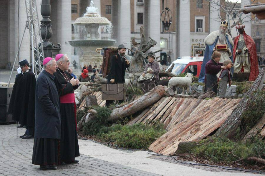 In piazza San Pietro è già Natale: accesi l'albero e il presepe