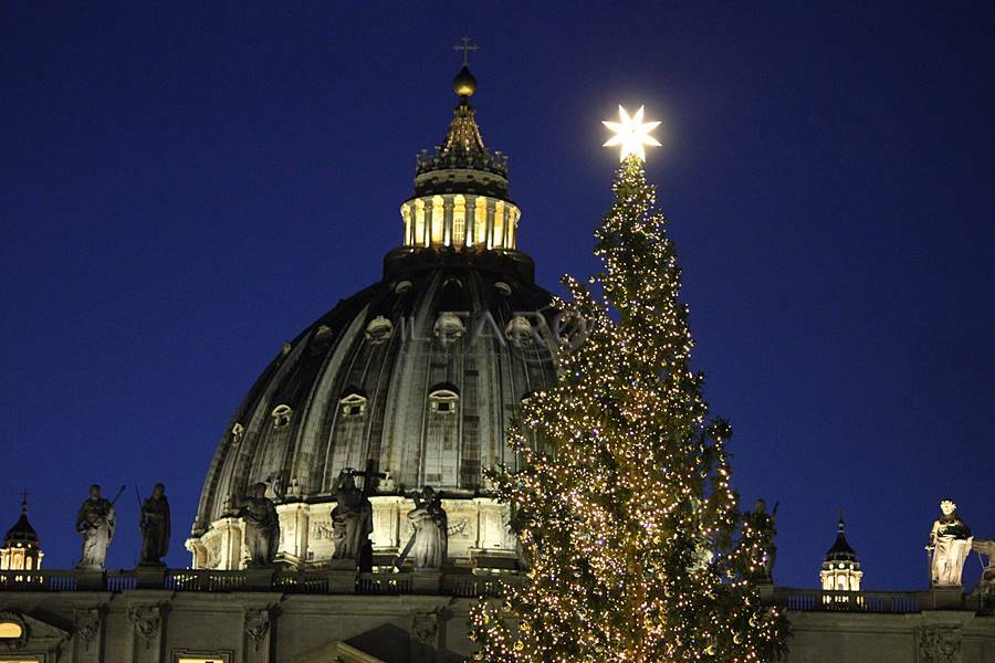 “Non tagliate quella pianta”. Infuria la polemica sull’albero di Natale di piazza San Pietro
