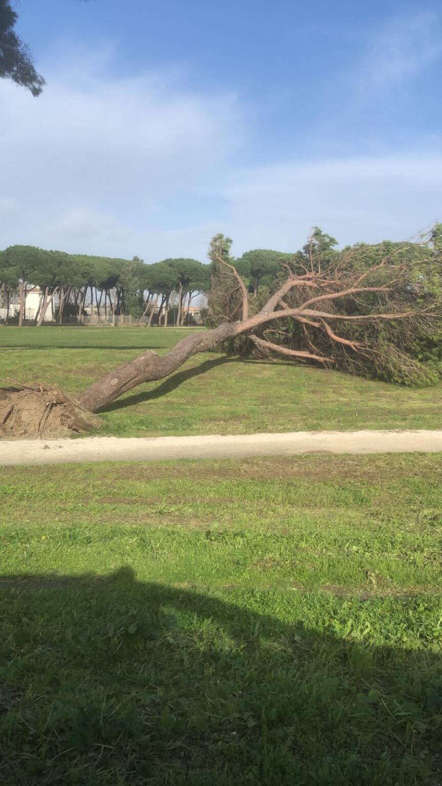 Maltempo a Fiumicino: oltre 50 gli interventi di Polizia locale e Protezione Civile