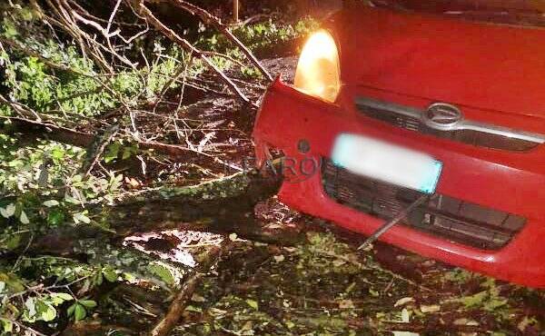 Fiumicino, albero si schianta e provoca un incidente: “Abbandonata per ore”