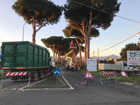 San Felice, riqualificazione boschiva in via Monte Circeo: l’ordinanza che regolamenta il traffico