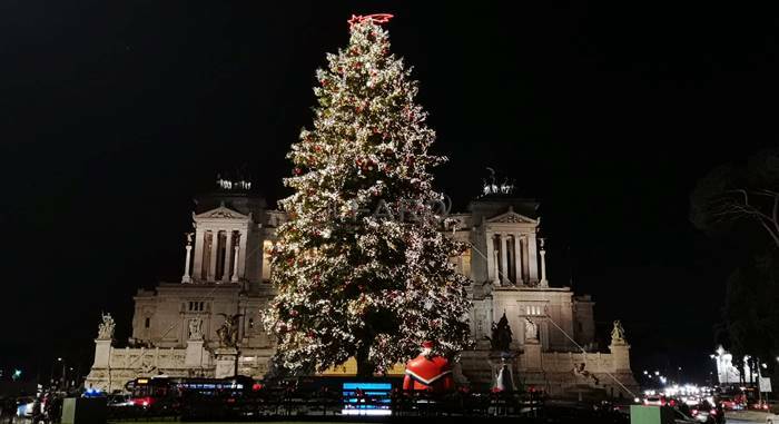 A piazza Venezia torna “Spelacchio”, l’albero di Natale di Roma: accensione l’8 dicembre