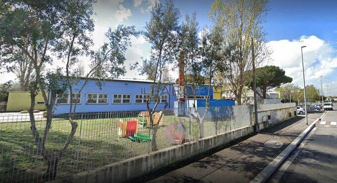 Ramo caduto nel giardino dell’asilo, Tatini (Crescere Insieme): “Dove sono le verifiche preventive delle alberature?”
