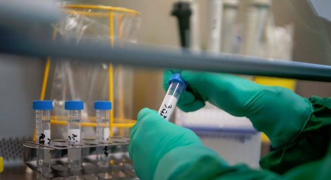 Nuovo caso di coronavirus a Nettuno: sono 42 in totale le persone positive