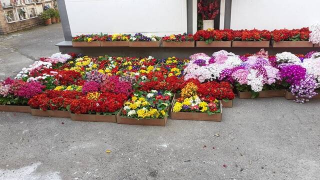 Donano fiori al Comune, l'amministrazione di Formia li invia al cimitero