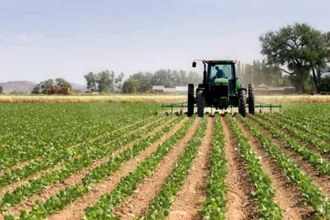 Agricoltura, continua fino al 30 gennaio la consultazione pubblica sulla Pac del Lazio