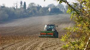 Agricoltura, approvato l’emendamento a tutela delle produzioni agricole e di pregio