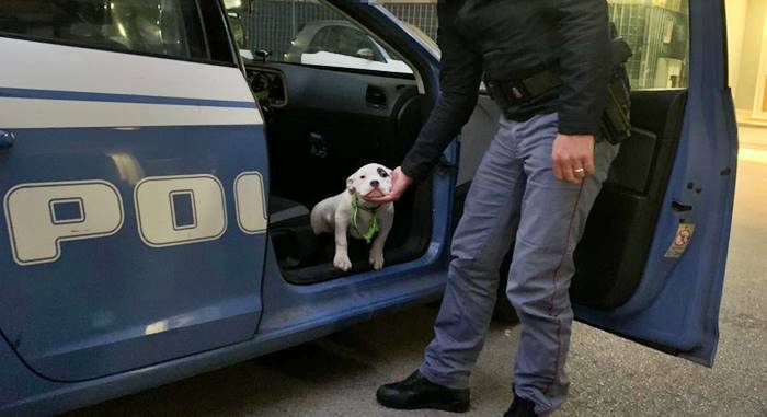 cane polizia